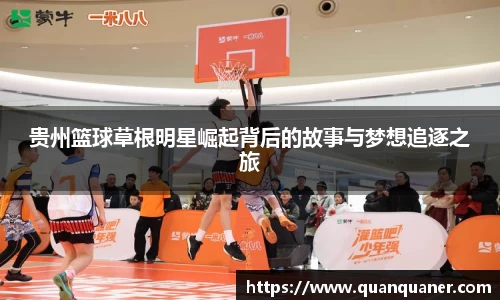 BB贝博艾弗森官网